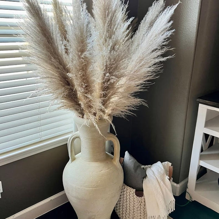 Herbe de la Pampa Séchée – Lot de 10 Panaches Naturels