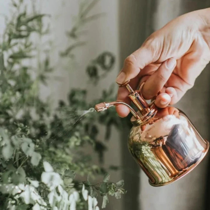 Vaporisateur doré pour plantes en laiton